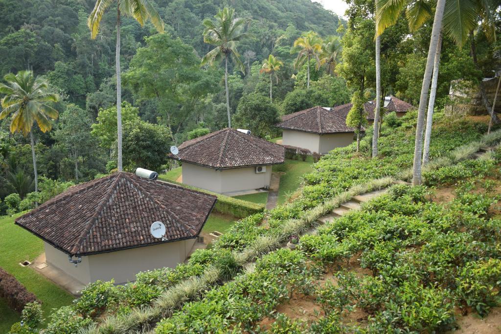 Athulya Villas, Kandy Kadugannawa Exteriör bild